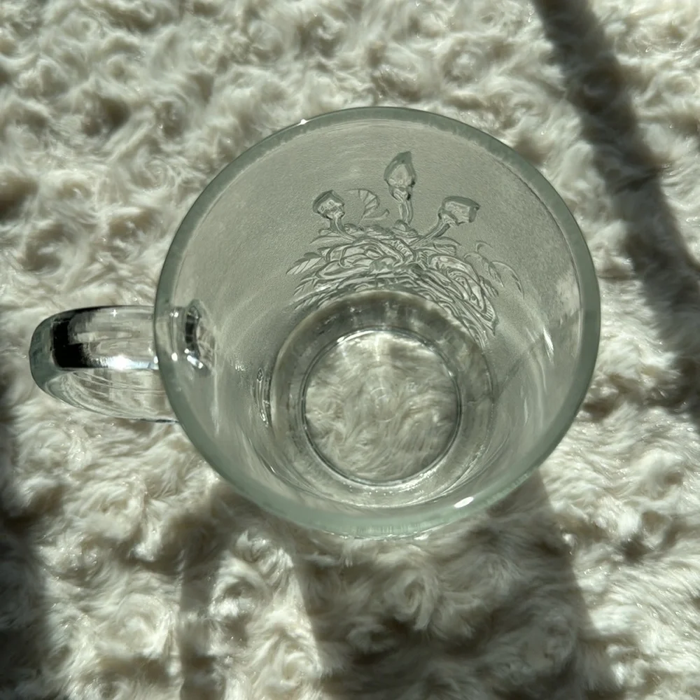 SET OF 4~VINTAGE PASARI LIVIA~ROSE~PRESSED~FROSTED GLASS CUPS/MUGS~VERY NICE~UTC